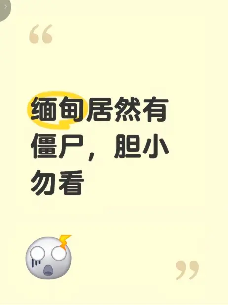 高清无删减《缅甸僵尸出土事件》现场全程录像揭秘缅北僵尸出土事件真相 - 最新高清完整版在线免费播放
