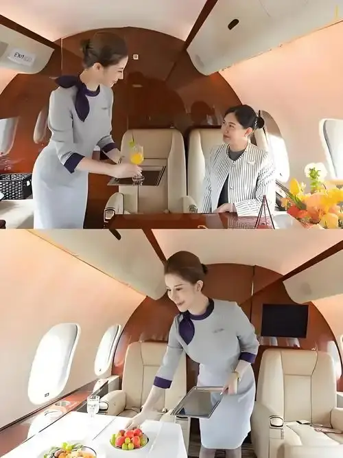 《私人航空/法国航空》未删减版高清在线观看-私人航空法国航空完整版免费播放-无弹窗尽享