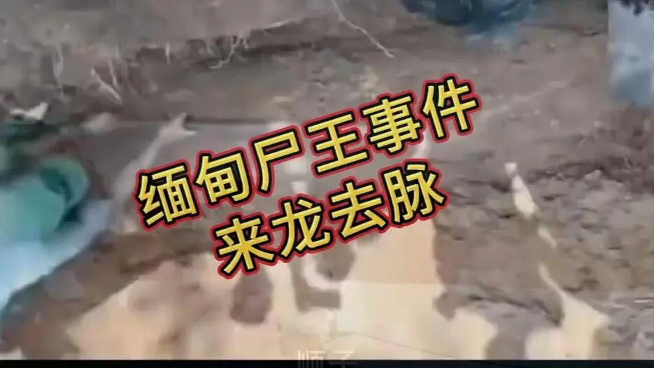 《缅甸僵尸出土事件视频》在线观看免费播放完整版资源下载高清未删减全程录像
